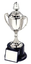 Quality Silver Presentation Cup - SPECIAL OFFER only 7 left!!